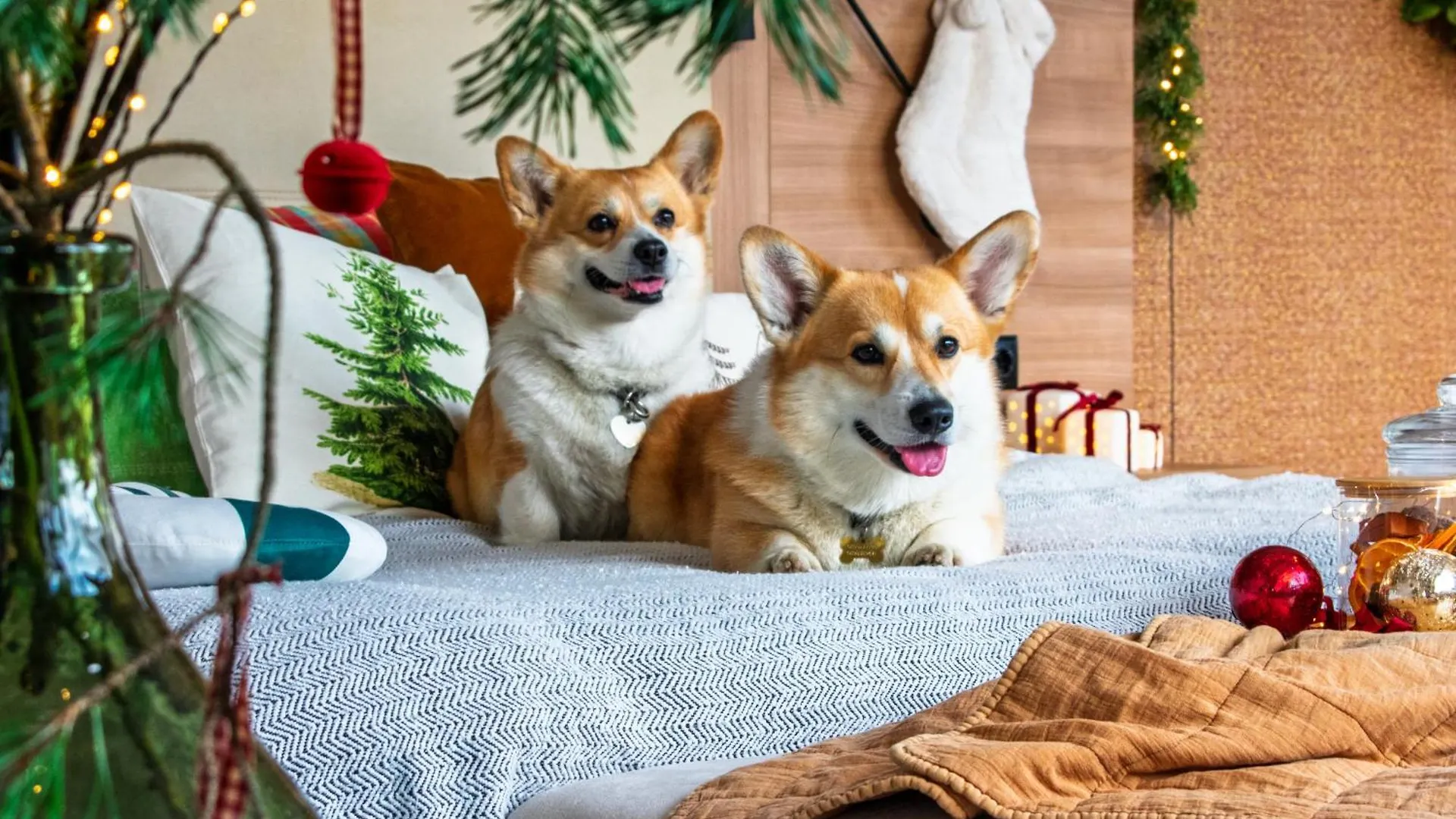 Wn Lab Hotel - Including Breakfast And Parking София